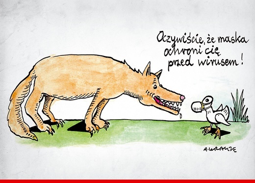 Rok 2020 w rysunkach Andrzeja Krauzego