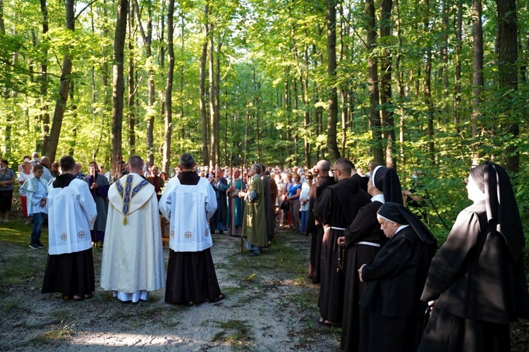 Uroczystości odpustowe w Leżajsku