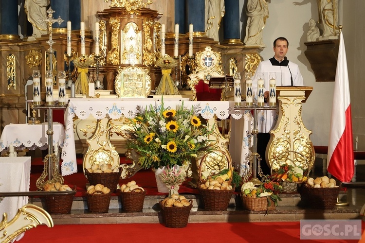 Dożynki diecezjalne w Rokitnie