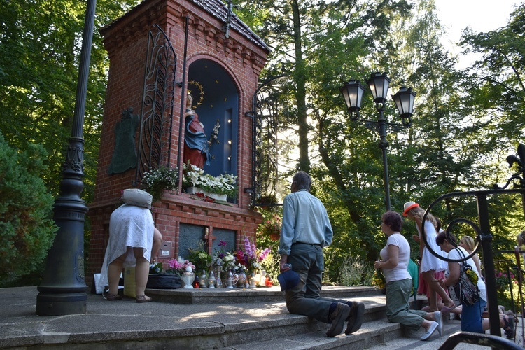 29. pielgrzymka trzeźwościowa  