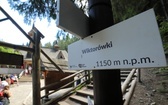 Wiktorówki