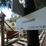 Wiktorówki