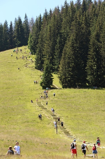 Wiktorówki