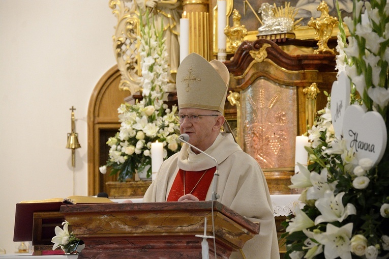Pielgrzymkowa Msza św. w Kamieniu Śląskim