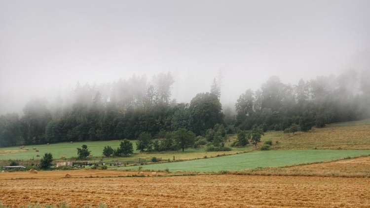 Nowa Ruda. Pieszo do Wambierzyc na 40-lecie koronacji