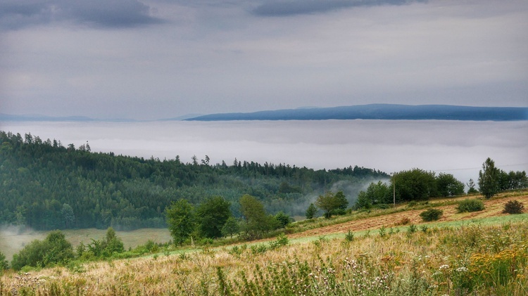 Nowa Ruda. Pieszo do Wambierzyc na 40-lecie koronacji