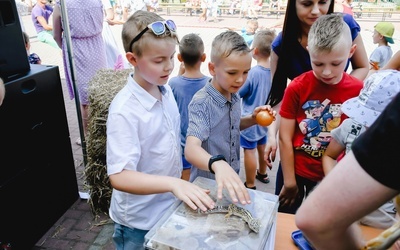 Proboszczewice. II Dożynkowy piknik rodzinny