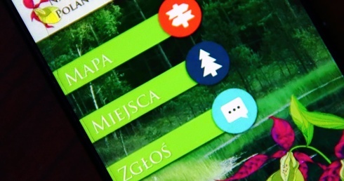 Smartfon wskaże uroki Nadleśnictwa Polanów