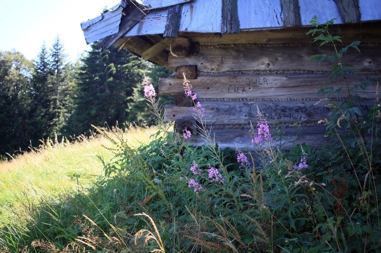Wędrówka po Gorcach