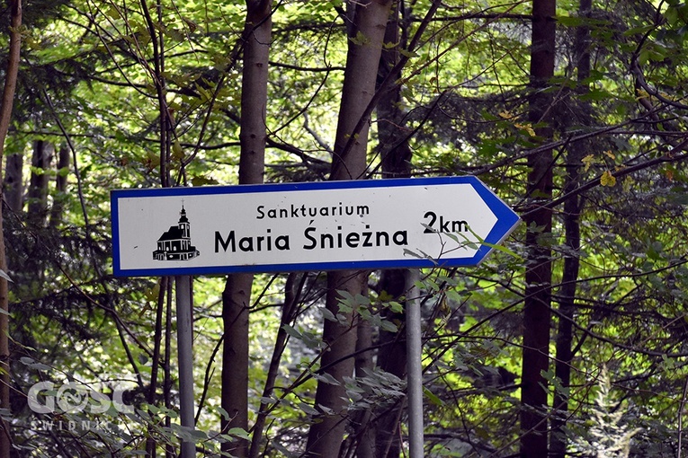 Pielgrzymka kleryków przed obłóczynami