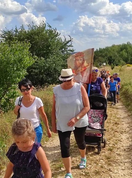 Jasnogórscy pielgrzymi z Żywca AD 2020 na trasie