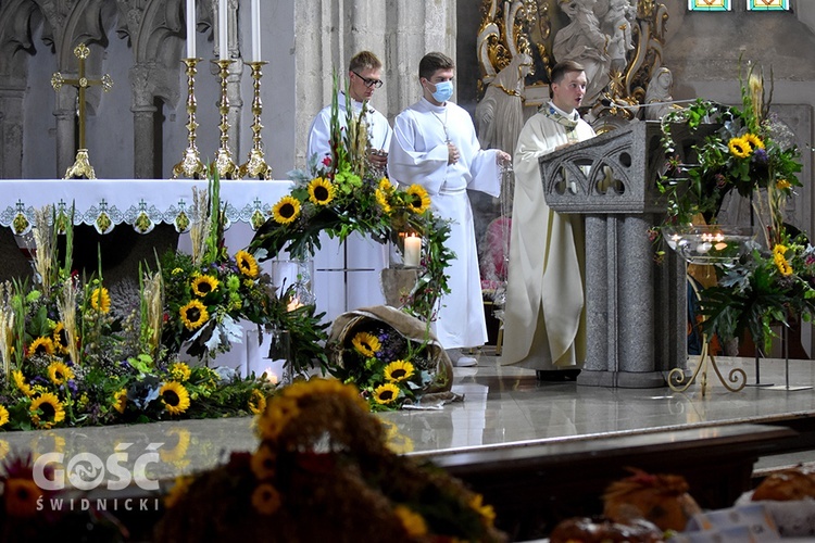 Strzegom. Dożynki gminne z biskupem seniorem