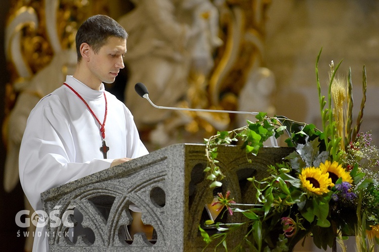 Strzegom. Dożynki gminne z biskupem seniorem