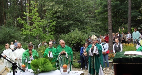 Chcę normalnie żyć, w trzeźwości