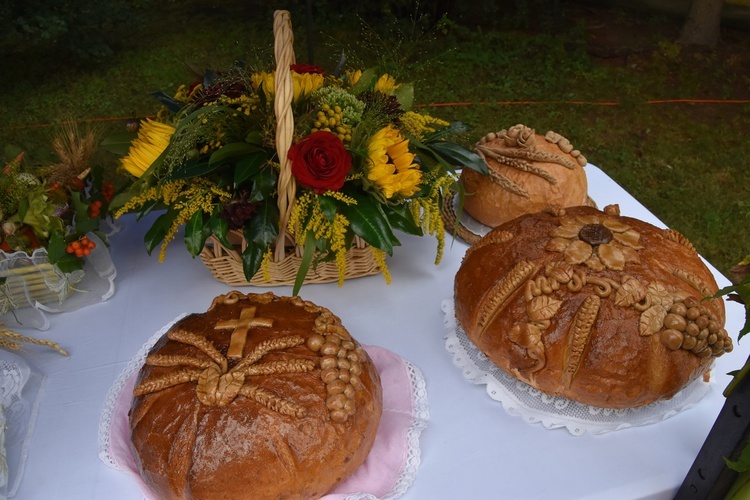 Dożynki w Gminie Świdnica