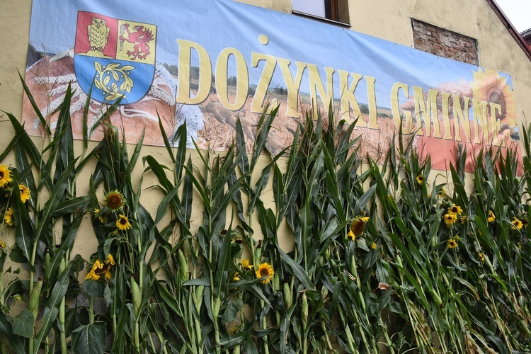 Dożynki w Gminie Świdnica