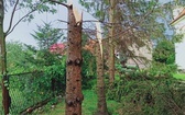 Galeria zniszczeń obiektów sakralnych