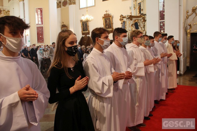 Diecezjalna Pielgrzymka Ruchu Światło-Życie do Rokitna