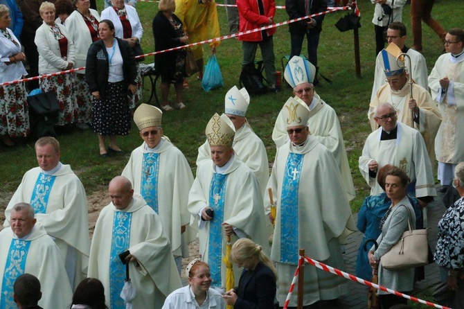 Uroczystości w Wąwolnicy