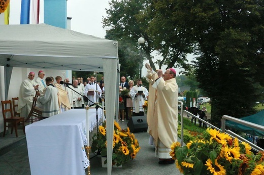 Uroczystości w Wąwolnicy