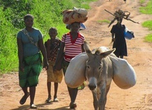 Mozambik nadal żyje przesłaniem Papieża sprzed roku 