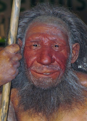 Neandertalczycy żywili się mięsem