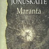 Birutė Jonuškaitė "Maranta". Pogranicze, Sejny 2020 ss. 345