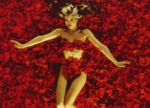 American Beauty