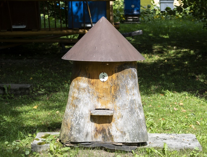 Kraina miodu