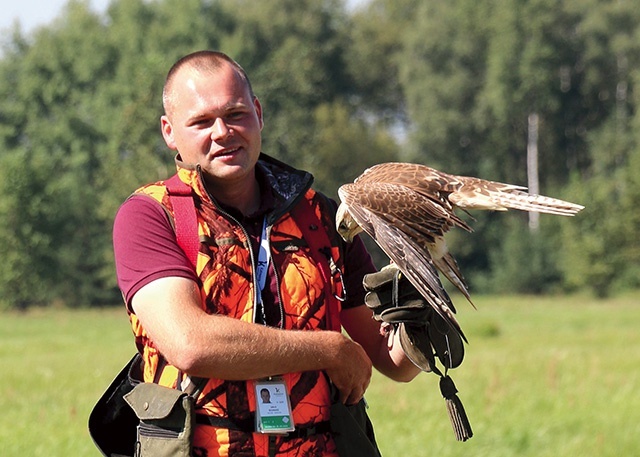 Patrolujące lotnisko ptaki są karmione wyłącznie przez opiekuna, nie polują na pasie startowym.