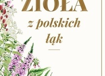 Zbigniew T. Nowak "Zioła z polskich łąk" Wydawnictwo AA