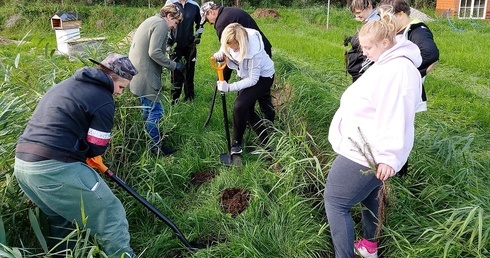 Sadzą lasy z prezydentem