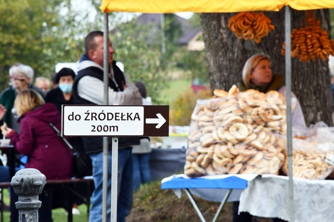 Pielgrzymka Diecezjalna do Skrzatusza, cz. 2