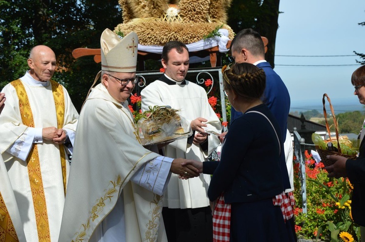 Dożynki diecezjalne na Górze św. Anny