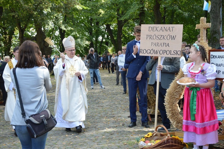 Dożynki diecezjalne na Górze św. Anny