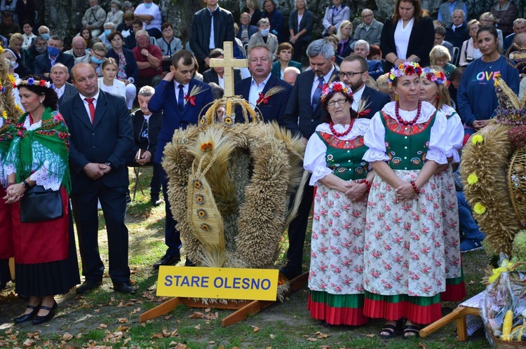 Dożynki diecezjalne na Górze św. Anny