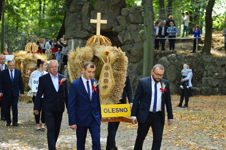 Dożynki diecezjalne na Górze św. Anny