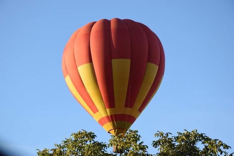 II Festa Balonowa w Skierniewicach