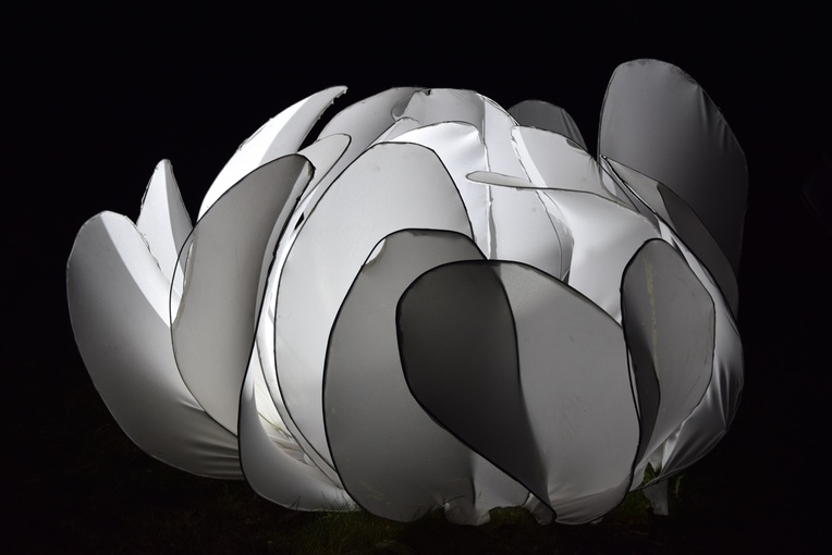 Skierniewice. Festiwal światła