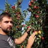 Adam Tarno gospodaruje na blisko 100 hektarach upraw owocowych i warzywnych.