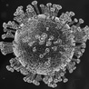 Padł rekord nowych potwierdzonych zakażeń koronawirusem w Polsce