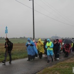 III Diecezjalna Piesza Pielgrzymka Pokutna z Ośna Lubuskiego do Górzycy