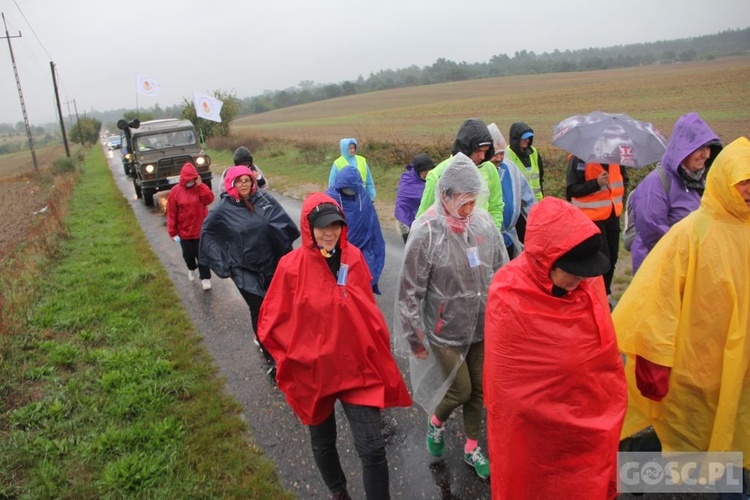 III Diecezjalna Piesza Pielgrzymka Pokutna z Ośna Lubuskiego do Górzycy