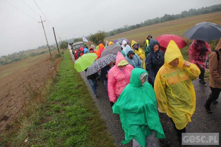 III Diecezjalna Piesza Pielgrzymka Pokutna z Ośna Lubuskiego do Górzycy