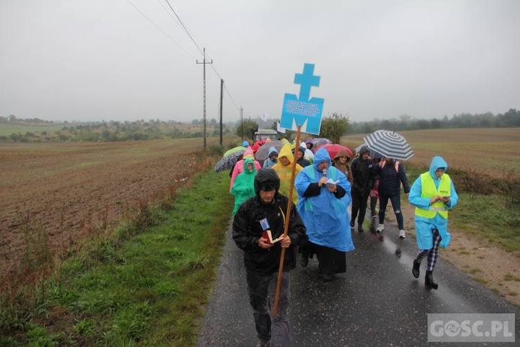 III Diecezjalna Piesza Pielgrzymka Pokutna z Ośna Lubuskiego do Górzycy