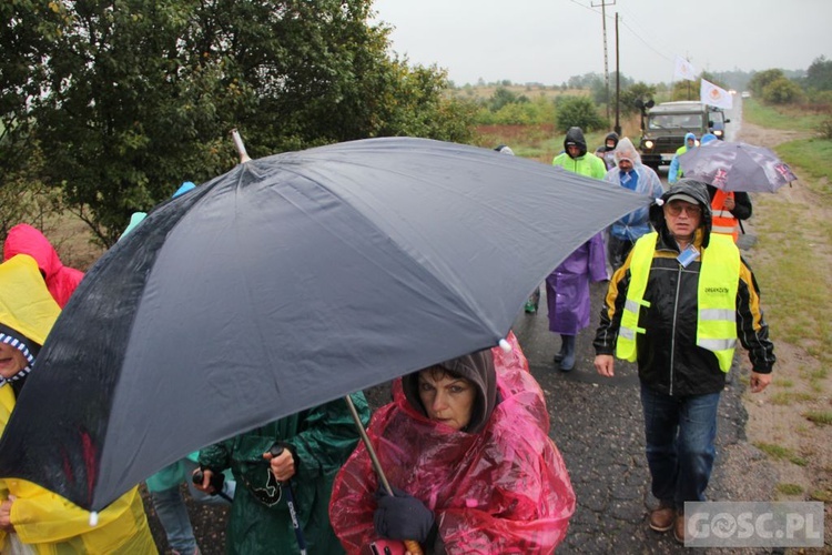 III Diecezjalna Piesza Pielgrzymka Pokutna z Ośna Lubuskiego do Górzycy