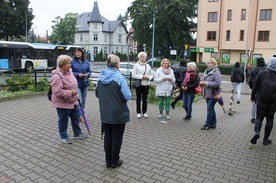 Legnica. Koronka na skrzyżowaniu