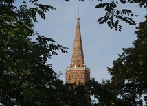 Album o głogowskiej kolegiacie