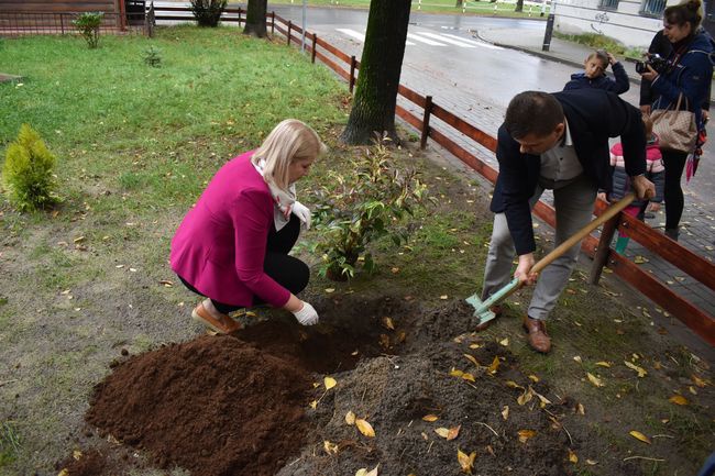 Stalowa Wola. Sąsiedzki EKO azyl