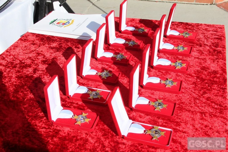 Odpust różańcowy i wręczenie diecezjalnych odznaczeń w Rokitnie